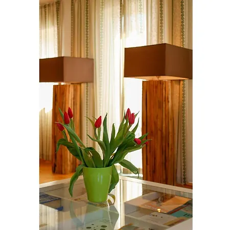 Apartment Ferienwohnung Vakantievilla-sauerland *