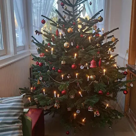 Ferienwohnung Vakantievilla-sauerland *