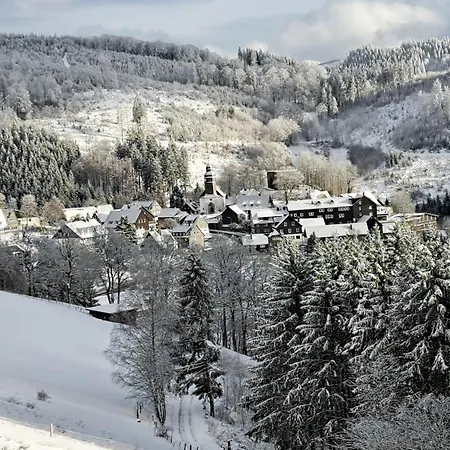 Ferienwohnung Vakantievilla-sauerland Apartment *