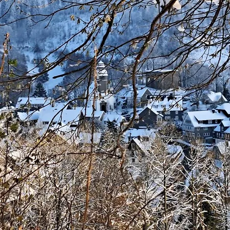 Apartment Ferienwohnung Vakantievilla-sauerland Schmallenberg